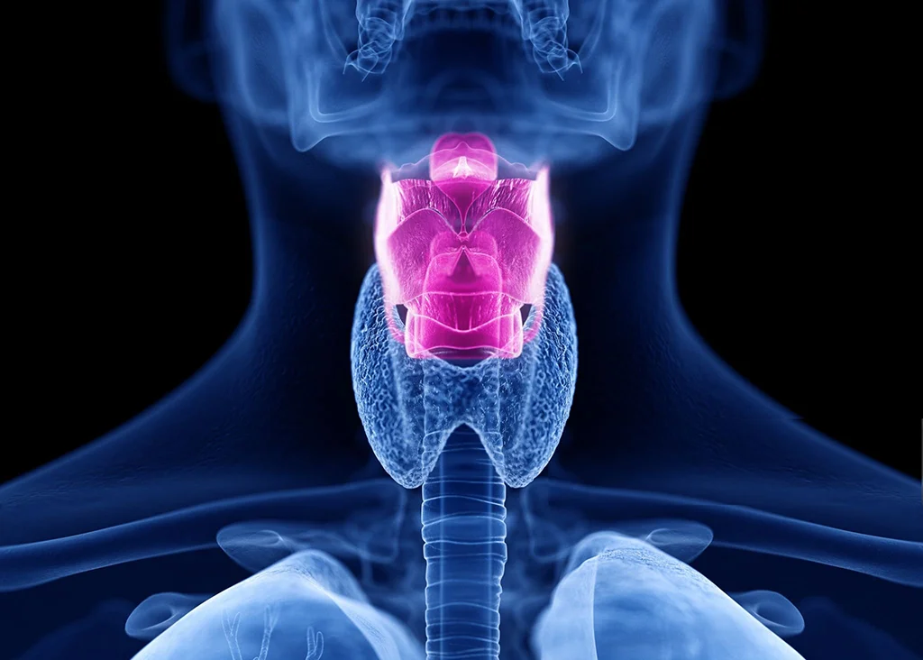 Imagen Tensión Muscular